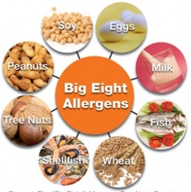 Food allergy intolerance pic